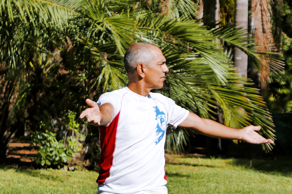 Taiji Quan